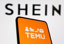 Proyecto anti Shein: Pichetto propuso aplicar un 30% de arancel a las compras en plataformas extranjeras