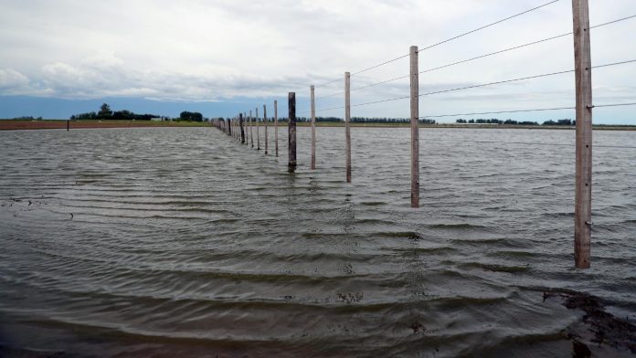 Un bloque de legisladores bonaerenses pidió declarar la emergencia agropecuaria por los campos inundados en PBA